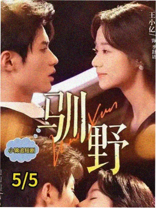 山海食肆 高清电视剧在线观看治愈剧